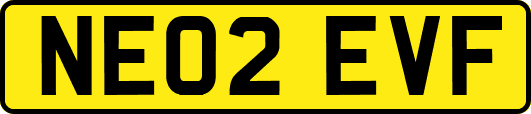 NE02EVF