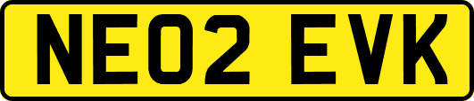 NE02EVK