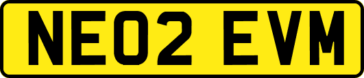 NE02EVM