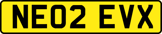 NE02EVX