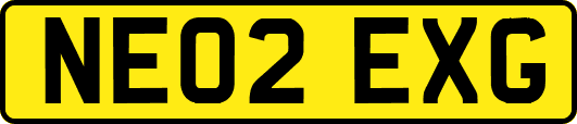 NE02EXG