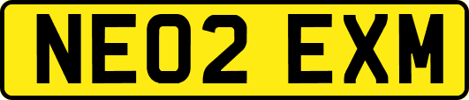 NE02EXM