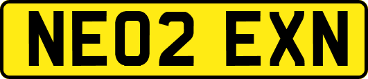 NE02EXN