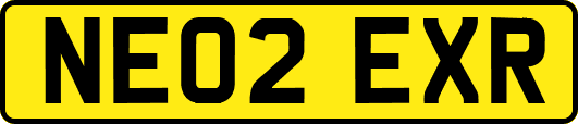 NE02EXR