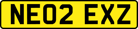 NE02EXZ