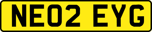 NE02EYG
