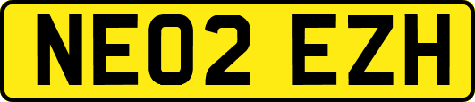 NE02EZH