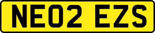 NE02EZS