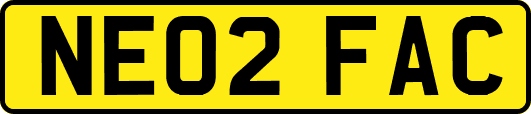 NE02FAC