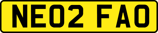 NE02FAO