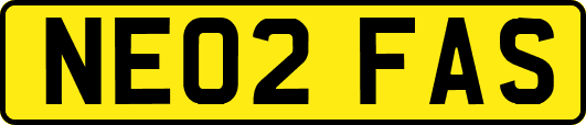 NE02FAS