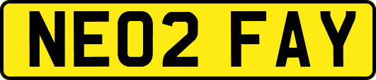 NE02FAY