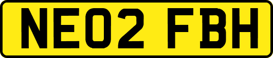 NE02FBH