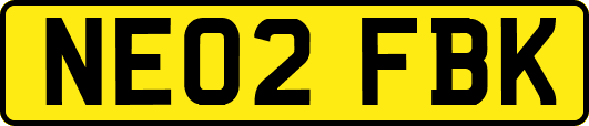 NE02FBK