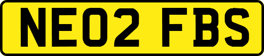 NE02FBS