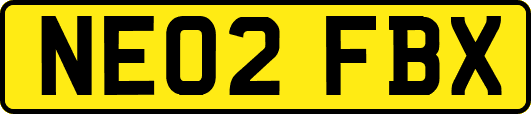 NE02FBX