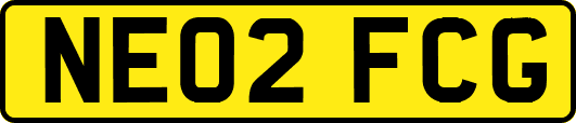 NE02FCG