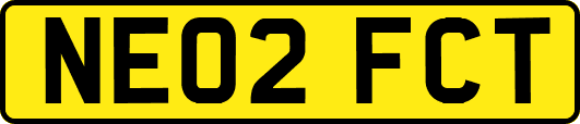 NE02FCT