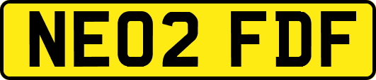 NE02FDF