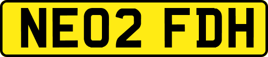 NE02FDH