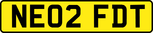 NE02FDT