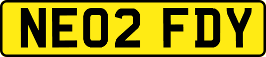 NE02FDY