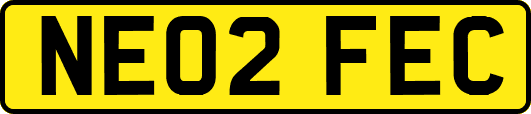 NE02FEC