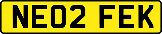 NE02FEK