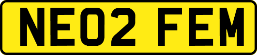 NE02FEM