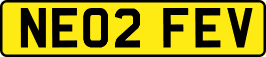 NE02FEV