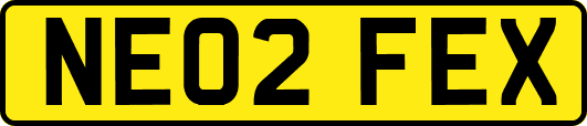 NE02FEX