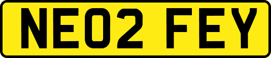 NE02FEY