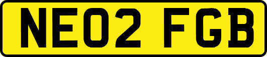 NE02FGB