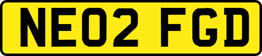NE02FGD