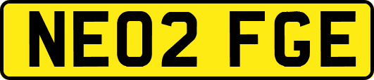 NE02FGE