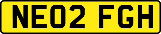 NE02FGH