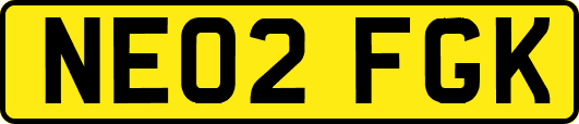 NE02FGK