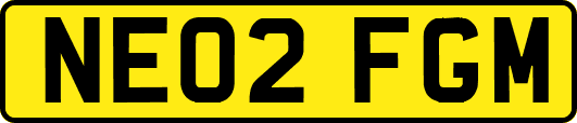 NE02FGM