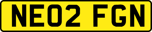 NE02FGN