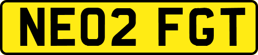 NE02FGT