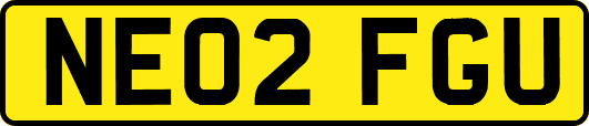 NE02FGU