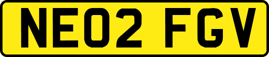 NE02FGV