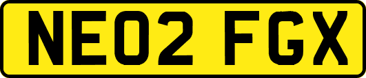 NE02FGX
