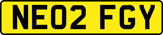 NE02FGY