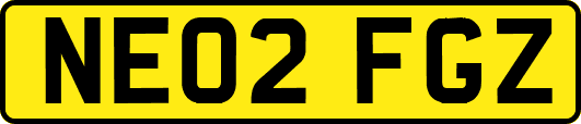 NE02FGZ