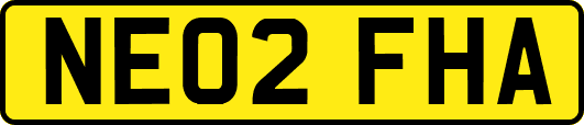 NE02FHA