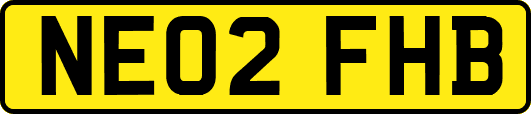 NE02FHB