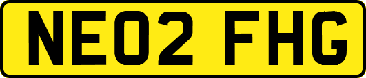 NE02FHG
