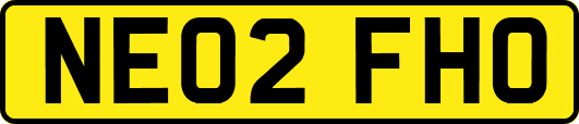 NE02FHO
