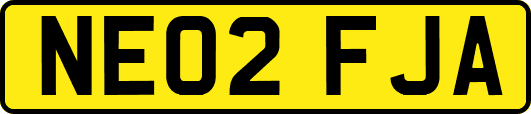 NE02FJA